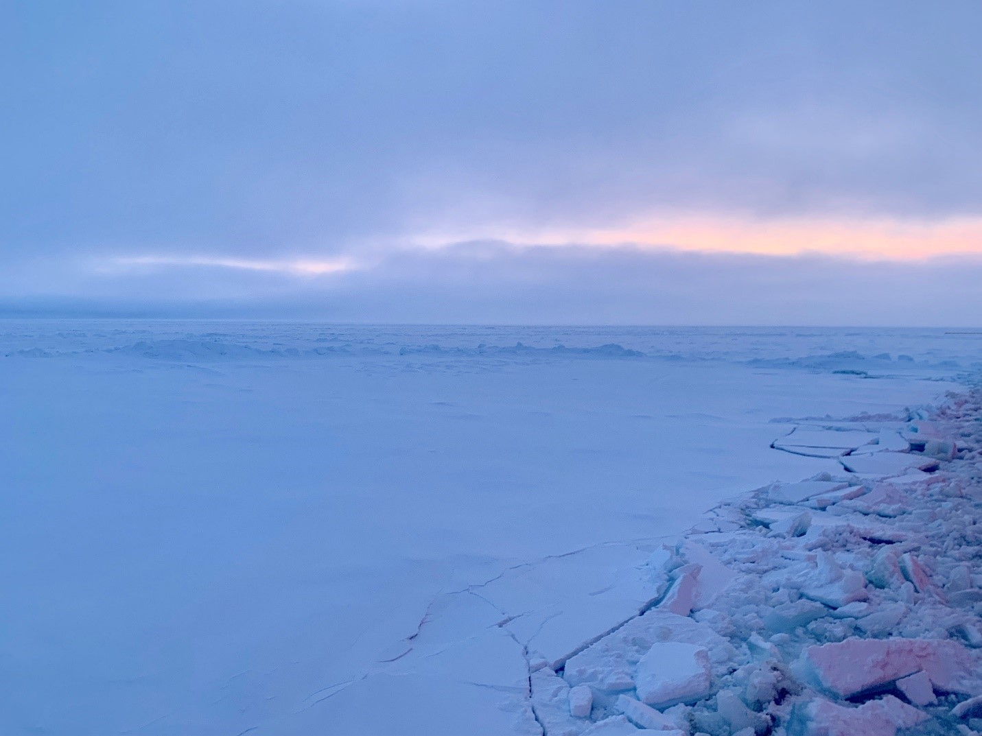 Sea ice in central Arctic