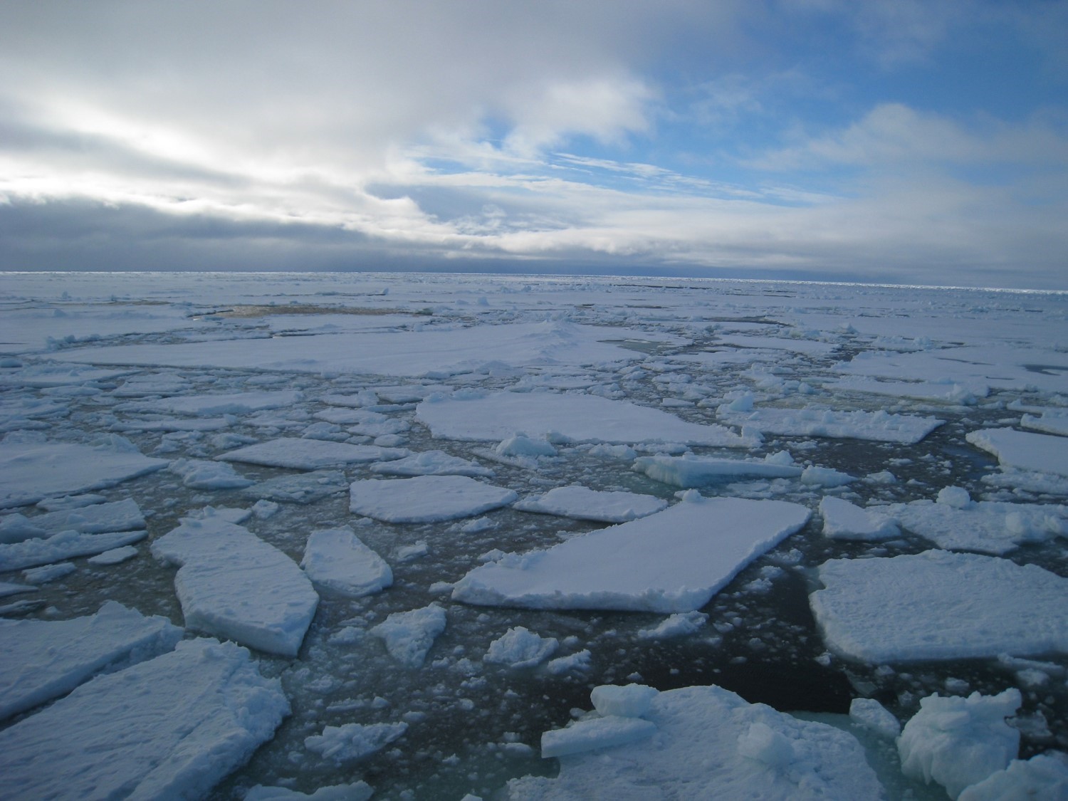 arctic sea ice