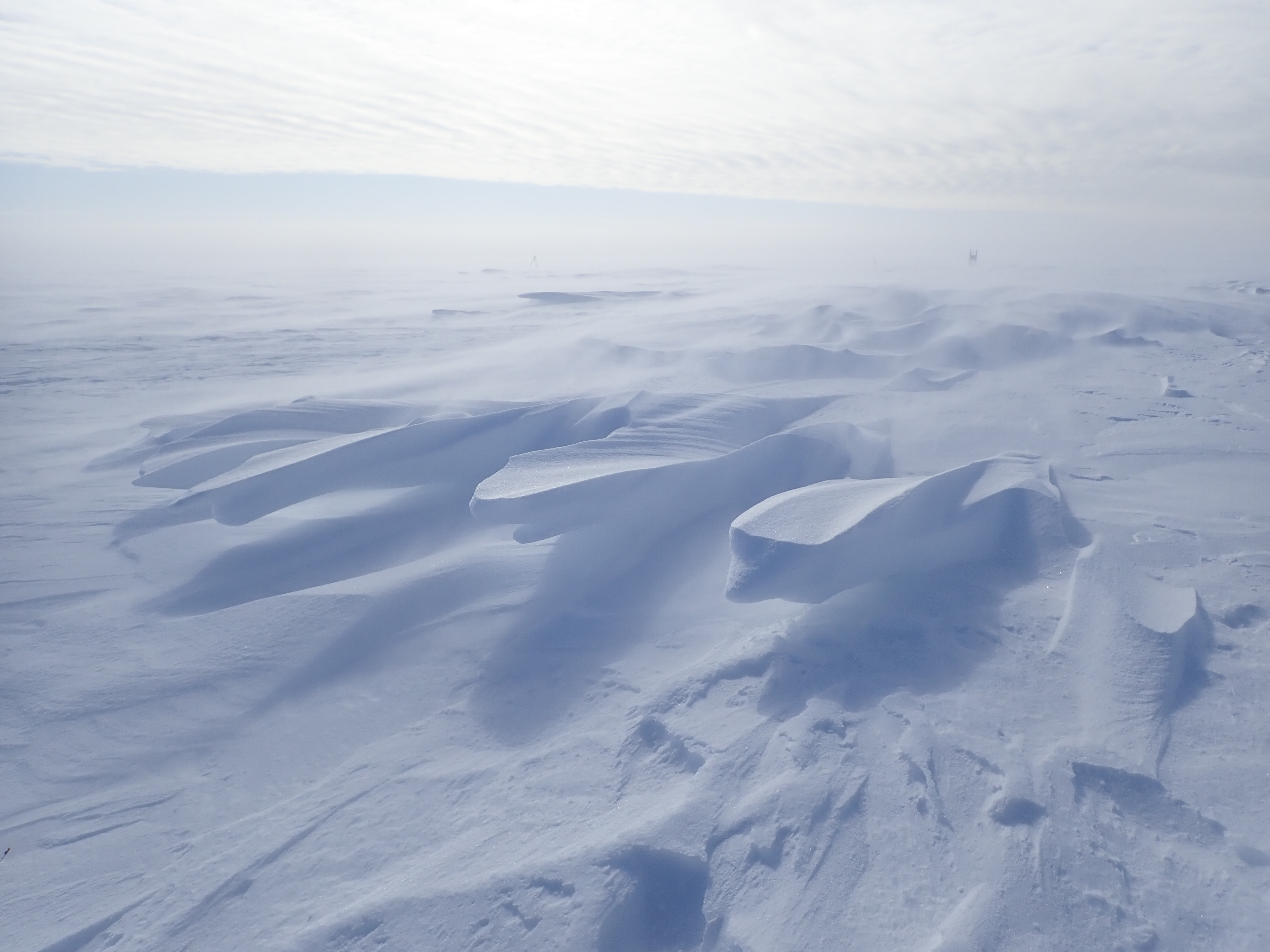 Snow porpoises at North Slope of Alaska